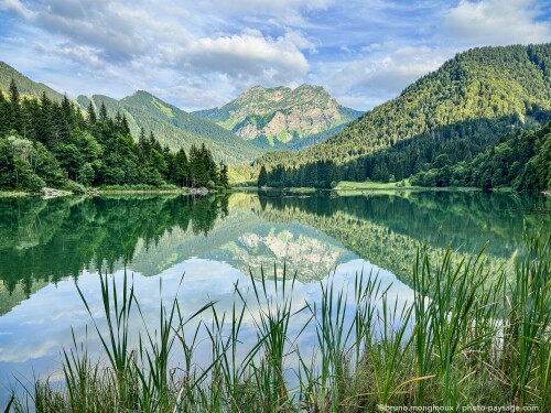 Reflets lac de Vallon IMG 1865